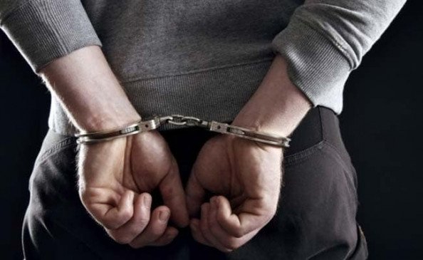 12-गांजे-के-पौधे-के-साथ-2-आरोपी-गिरफ्तार 12-गांजे-के-पौधे-के-साथ-2-आरोपी-गिरफ्तार